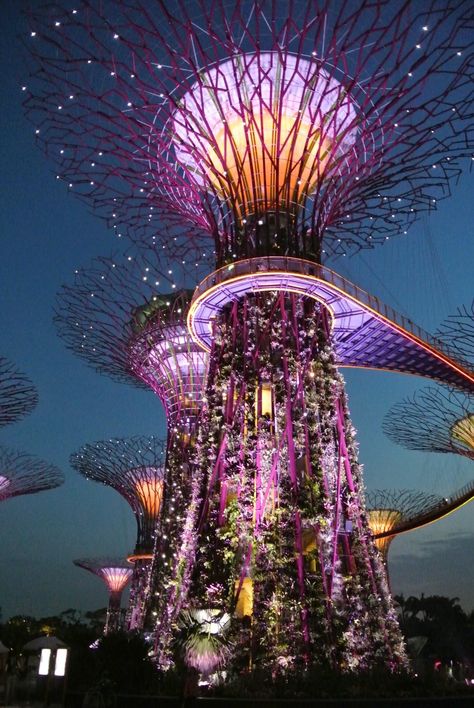 Super Trees Singapore, Singapore Pictures, Tree Grove, Flight Booking, Gardens By The Bay, List Ideas, Booking Flights, Garden Trees, Dream Board