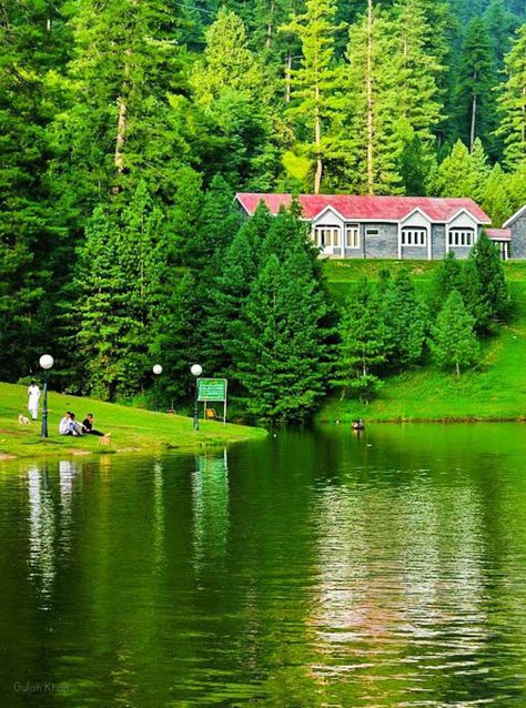 PAKISTAN, very nice captured the beauty of Banjosa lake, Rawalakot valley of Azad Kashmir, Pakistan. courtesy by airizo Banjosa Lake Kashmir, Azad Kashmir Beauty, Pakistan Aesthetic, Kashmir Pakistan, Kashmir Valley, Azad Kashmir, Beautiful Butterfly Pictures, Butterfly Pictures, Teacher Classroom