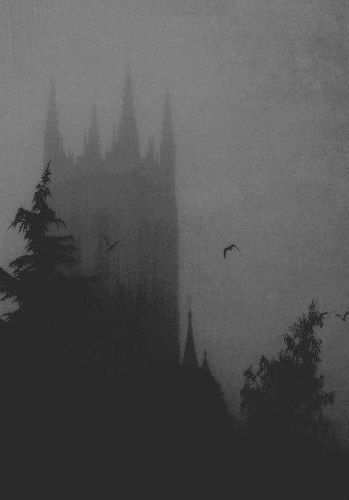 Something Something, The Fog, White Photo, Over It, Castle, Birds, Black And White, White, Black