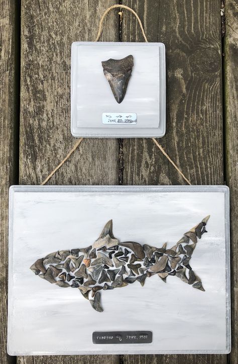 What I did with some of the shark teeth found on our 2018 vacation. Wood plaques from Michaels Crafts painted with acrylic paints. Hand stamped labels made from 20 gauge aluminum. All glued on with E6000 glue then stapled twine on back to hang. Crafts With Shark Teeth, Things To Do With Shark Teeth, Shark Crafts For Adults, What To Do With Shark Teeth, Shark Teeth Crafts Diy, Shark Tooth Art Diy, Shark Tooth Display Ideas, Sharks Teeth Crafts, Shark Teeth Display Ideas