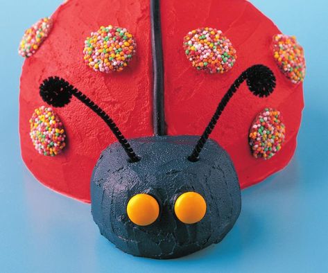 Made famous in our ever popular Women's Weekly Birthday Cake book, the ladybird birthday cake is surprisingly easy to decorate, and looks marvellous. Ladybird Cake, Ladybug Cakes, Pool Cake, Bug Cake, Ladybug Cake, Book Cakes, Ladybug Birthday, Birthday Cakes For Women, Birthday Cake Recipe