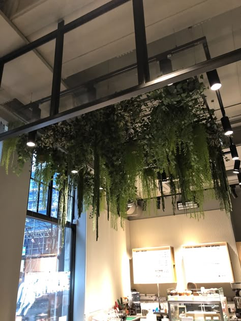 Plants On The Ceiling, Plants On Ceiling Interior Design, Plant Ceiling, Ceiling Plants, Restaurant With Plants Interiors, Green Ceiling Restaurant, Plant Ceiling Decor Restaurant, Plants In Restaurants Interior Design, Flower Ceiling