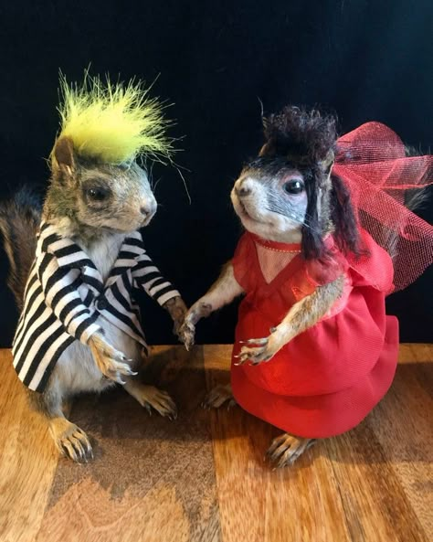 Bad Taxidermy, Beetlejuice And Lydia, Beetlejuice Lydia, Squirrel Pictures, Funny Rats, Taxidermy Art, Vulture Culture, Cute Rats, Hamsters