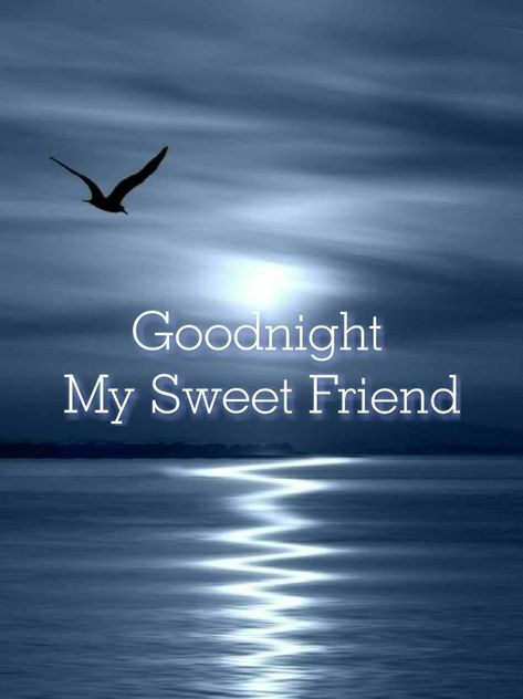 Good Night God Bless Sleep Well, Sleep Well Quotes, Goodnight Meme, Goodnight Quotes For Friends, Good Night Poems, Beautiful Good Night Messages, Good Morning Happy Weekend, Good Night Hug, Have A Wonderful Evening