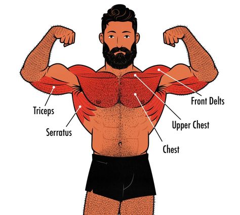 How to Do Dips (And Why They're So Good) Chest Dips, How To Do Dips, Dips Workout, 4 Day Workout, Weighted Dips, Chest Exercise, 5 Day Workouts, Leg Routine, Push Day