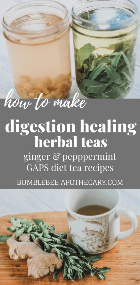 GAPS diet tea recipes | a tutorial showing how to make ginger and peppermint teas to help heal and soothe digestion #herbs #herbal #tea #gapsdiet #gaps #ginger #peppermint Diet Tea, Milk Benefits, Gut Healing Recipes, Herbal Teas Recipes, Gaps Diet, Peppermint Tea, Herbs For Health, Tea Benefits, Herbal Teas