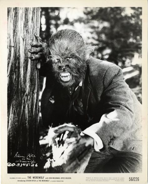 werewolf I Was A Teenage Werewolf, The Bowery Boys, Classic Monster Movies, Teenage Werewolf, Lon Chaney Jr, Lon Chaney, American Werewolf In London, Michael Landon, Abbott And Costello