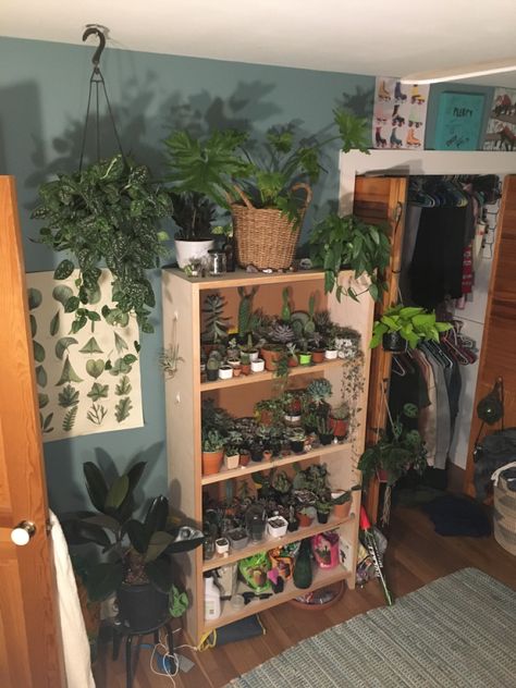 Goblincore Bedroom, Succulent Shelf, Maximalist Bedroom, Cottagecore Academia, Future Aesthetic, Future Room, Retro Room, Bedroom Remodel, Room Goals