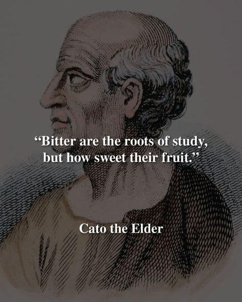 Dialogue of Wisdom | Let perseverance fuel your pursuit of knowledge, for its benefits are truly enriching. | Instagram Knowledge Power Quotes, Quote About Knowledge, Pursuit Of Knowledge, Gaining Knowledge Quotes, Wisdom Vs Knowledge, Pursuit Of Knowledge Quotes, Feminine Quotes, Stoicism Quotes, Stoic Quotes