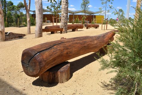 Natural Log Seats at Bungarribee #logs #natureplay #seating Log Benches Outdoor, Log Seats, Landscape Plaza, Log Bench, Timber Logs, Andrew Smith, Prayer Garden, Tree Logs, Backyard Pavilion