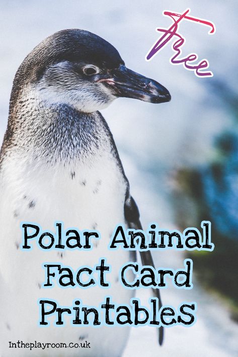 Polar Arctic Animals Facts For Kids: Free Printable Cards and Games to Play with Them - In The Playroom Free Polar Bear Printables, Artic Animals Toddler Lesson Plans, Preschool Polar Animals, Arctic Fox Facts, Arctic Animals Printables, Arctic Animals Preschool Activities, Polar Animals Preschool, Arctic Animals Activities, North Pole Animals