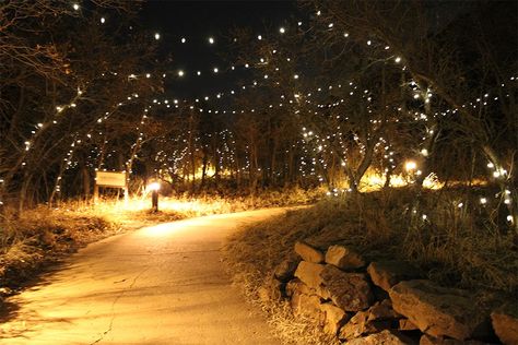 See Roxborough Park's New Trail of Lights and Night Hike Banff Christmas, Trail Of Lights, Night Hike, Night Hiking, Light Trails, Light Pollution, Beautiful Park, Visitor Center, Walking Trails