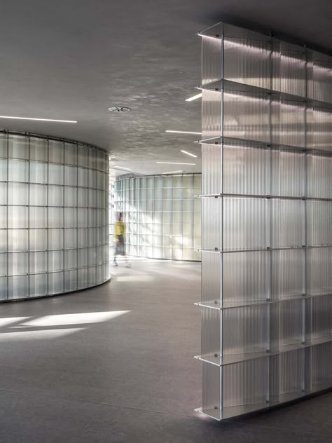 Gallery of Winding Frames of Light Offices / HCCH Studio - 27 Semi Transparent Wall, Interior Glass Partition, Interior Glass Wall, Glass Wall Office, Glass Wall Design, Translucent Wall, Glass Partition Wall, Office Light, Glass Curtain Wall