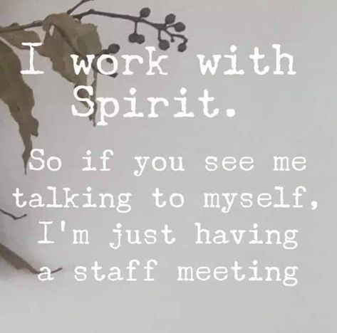 A Self Explanatory Spirit Quote Funny Spiritual Memes, Funny Spiritual, Staff Meetings, Spirit Quotes, Super Funny Quotes, Home Quotes And Sayings, Women Humor, Spirit Guides, Wall Quotes