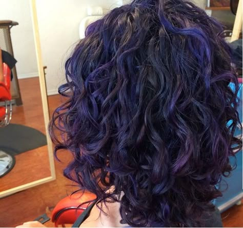 Hair Color For Short Curly Hair Natural Curls, Purple Hair Curly Short, Purple Highlights Curly Hair, Purple Hair Curly, Cute Hair Dye Ideas For Curly Hair, Colorful Curly Hair, Purple Curly Hair, Curly Purple Hair, Shaved Hair Cuts