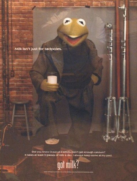 Got Milk Ads, Milk Ads, Kristi Yamaguchi, Noah Wyle, Frankie Muniz, Got Milk, Matthew Fox, Kermit The Frog, Frog And Toad