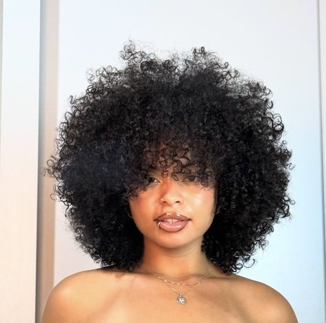 4b Curly Haircut, 4c Curly Afro, 4a Natural Hair Short, Round Cut Curly Hair, Curly Fro Black Women, Short 4a Curly Hair, Medium Length 4c Hair, Curly Afro Black Women, Afro Hair Cut