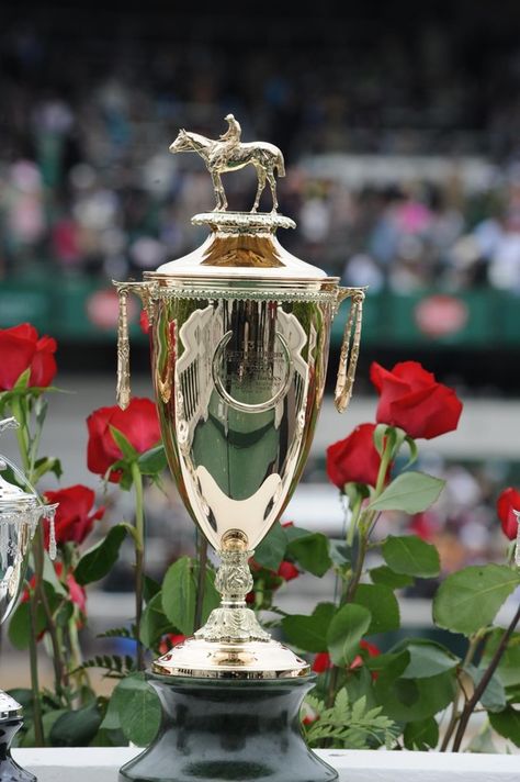 Kentucky Derby Trophy Derby Time, Preakness Stakes, Triple Crown Winners, Derby Winners, Ky Derby, Derby Horse, Run For The Roses, Belmont Stakes, Thoroughbred Horse Racing