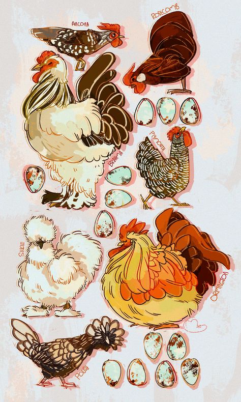 thundercluck-blog: “Hey! Meg here for FEATHERED FRIDAY! Have some sweet, sweet chickens! ” Parrot Drawing, Xmas Drawing, Chicken Drawing, Scrapbook Printing, Creature Artwork, Cute Chickens, Chicken Art, Chicken Humor, Pet Chickens