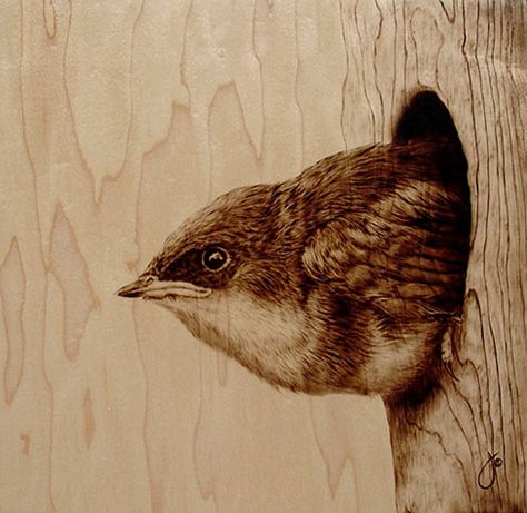 Inspired by nature and wildlife, artist Julie Bender etches illustrations of various animals by burning her images into wood. By employing the traditional art of pyrography, which dates back to ancient Egypt, Bender essentially paints with fire. The art involves scorching a piece of wood, or other natural material, with a heated metal tip, in place of a brush or pencil. Pyrography Designs, Pyrography Patterns, Woodburning Projects, Pyrography Art, Wood Burning Crafts, Wood Burning Patterns, Wood Burning Art, Wildlife Artists, Malbec