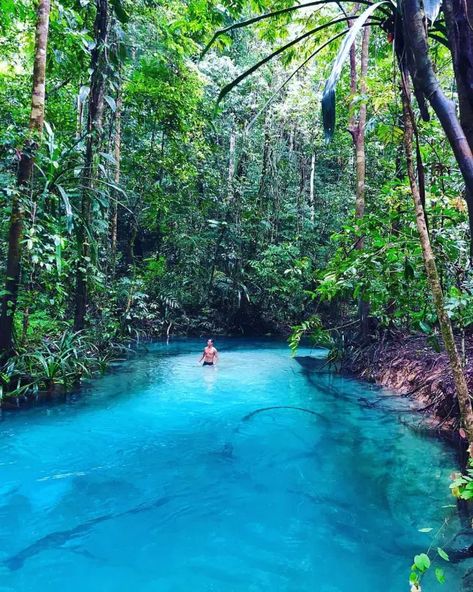 BLUE RIVER Kali Biru river is the stunning turquoise river in Indonesia that has become a tourist favourite in just two years  | Travel Destination  #travel #travelblog #travelwithplan #traveltips #destination Land And Sea, Blue River, Need A Vacation, Dream Travel Destinations, Instagram Filter, Holiday Destinations, Asia Travel, Nature Travel, The River