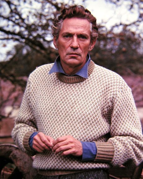 Network 1976, Peter Finch, Making Predictions, House Parties, Dinner Guests, Film Lovers, Hollywood Actors, Goodfellas, Heath Ledger