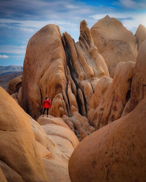 MINDY MICHAELS | ADVENTURE 🏔 TRAVEL on Instagram: "Quick Guide to Joshua Tree National Park ⤵️ 📌 𝘚𝘢𝘷𝘦 𝘧𝘰𝘳 𝘺𝘰𝘶𝘳 𝘧𝘶𝘵𝘶𝘳𝘦 𝘑𝘰𝘴𝘩𝘶𝘢 𝘛𝘳𝘦𝘦 𝘢𝘥𝘷𝘦𝘯𝘵𝘶𝘳𝘦𝘴 𝘢𝘯𝘥 𝘴𝘩𝘢𝘳𝘦 𝘸𝘪𝘵𝘩 𝘺𝘰𝘶𝘳 𝘣𝘦𝘴𝘵 𝘯𝘢𝘵𝘪𝘰𝘯𝘢𝘭 𝘱𝘢𝘳𝘬-𝘭𝘰𝘷𝘪𝘯𝘨 𝘱𝘢𝘭𝘴! Looking for a rad desert escape this winter season (or for early spring)?? Spend some time exploring around Joshua Tree National Park and stay in a mind-blowingly cool + unique airbnb! 👉🏻 swipe to check it out! 𝐁𝐞𝐥𝐨𝐰 𝐚𝐫𝐞 𝐬𝐨𝐦𝐞 𝐨𝐟 𝐦𝐲 𝐉𝐨𝐬𝐡𝐮𝐚 𝐓𝐫𝐞𝐞 𝐍𝐚𝐭𝐢𝐨𝐧𝐚𝐥 𝐏𝐚𝐫𝐤 𝐟𝐚𝐯𝐨𝐫𝐢𝐭𝐞𝐬 𝐭𝐨 𝐚𝐝𝐝 𝐭𝐨 𝐲𝐨𝐮𝐫 𝐥𝐢𝐬𝐭: 🥾 Heart Rock + Arch Rock Via Arch Rock Trail 🫣 Hall of Horrors 🌄 Sunset at Keys View 🌵 Sunrise at Cholla Cactus Garden 💀 Quick stop at Skull Rock 🪨 Explore the jumbo r Joshua Tree National Park Hikes, Joshua Tree National Park Photography, Camping Joshua Tree National Park, Skull Rock Joshua Tree, Autocamp Joshua Tree, Joshua Tree Park, National Parks Photography, Joshua Tree National Park, Cactus Garden