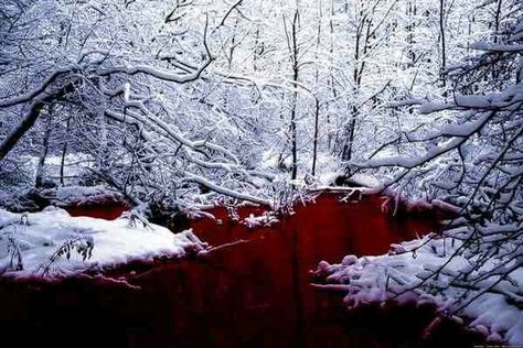 Blood stream in snow Blood On Snow, Art Bizarre, Blood Wallpaper, Fall Scenery, Red Lake, Creepy Christmas, Blood Art, Red River, Trik Fotografi