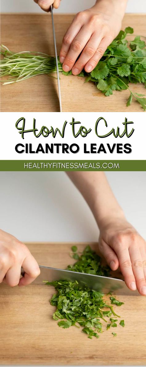 Learning how to cut cilantro leaves has never been easier! Fresh cilantro is delicious and the perfect addition to pico de Gallo, tacos, burritos, and so much more! This quick tutorial teaches you everything you need to know about preparing cilantro. Fresh cilantro is an herb that we cannot get enough of. The pleasant flavors of cilantro do not go unnoticed, and they’re perfect for sprucing up those dishes that need an extra layer of freshness. How To Chop Cilantro, Shawarma Ingredients, Authentic German Potato Salad, Tuna Casserole Easy, Crockpot Chicken Thighs, Roasted Red Pepper Soup, Homemade Meatloaf, Fitness Meals, Tacos Burritos