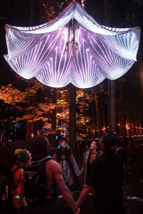 Rave Decorations, Rave Stage Design, Forest Lighting Conference, Electric Forest Festival Camping, Trippy House, Electric Forrest, Rave Wedding, Forest Instalation Art, Glowing Mushroom Forest