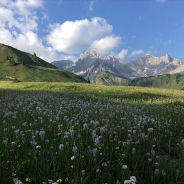 Mountain Meadow Aesthetic, Nature Icons Aesthetic, Meadow Core, Dolomites Aesthetic, Countryside Mountains, Mountain Core, Meadow Aesthetic, Alps Mountains, Summer Wildflowers