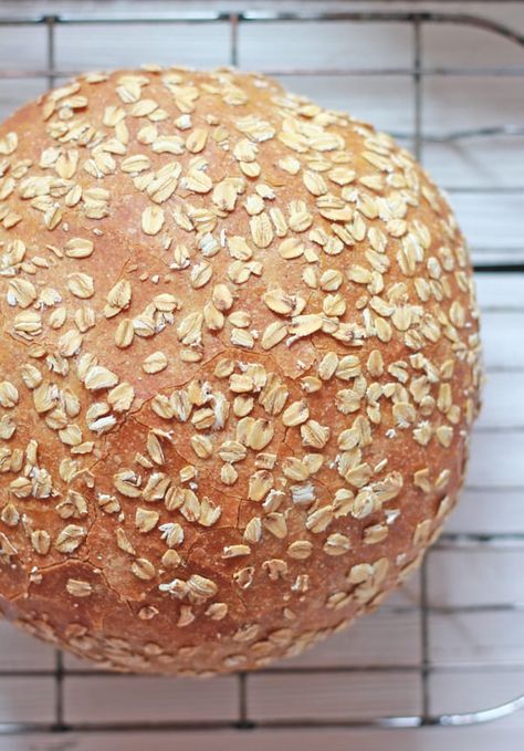 no-knead honey whole wheat bread | The Clever Carrot Whole Wheat Bread Recipes, Wheat Bread Recipes, Wheat Sandwich Bread Recipe, Honey Whole Wheat Bread, The Clever Carrot, Clever Carrot, Wheat Flour Recipes, Honey Wheat Bread, Wheat Bread Recipe