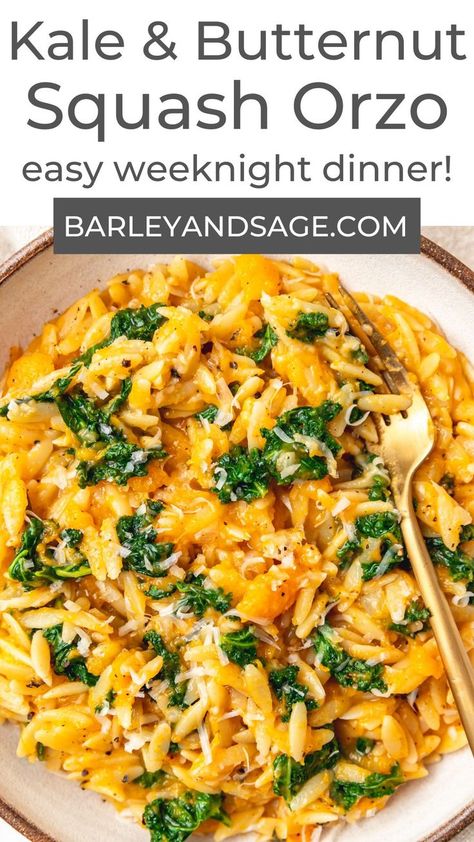 Kale Orzo, Butternut Squash Orzo, Squash Orzo, Butternut Squash And Kale, Butternut Squash Spinach, Mashed Butternut Squash, Butternut Squash Recipes Roasted, Cooking With White Wine, Butternut Squash Pasta