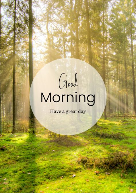 Best Good Morning Images, Nice Good Morning Images, Good Morning Msg, Morning Msg, Cute Good Morning Images, Good Morning Nature, Happy Good Morning Quotes, Good Morning Beautiful Pictures, Good Morning My Love