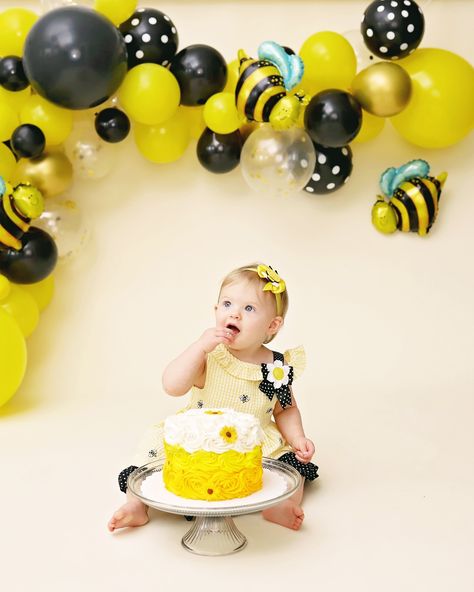 First Bee Day - Marion Illinois Cake Smash Photographer — Amber Farnam Photography Bee Day Photoshoot, My First Bee Day, Babies First Birthday, First Bee Day, Bee Cake, Bee Cakes, Bee Day, Baby First Birthday, Baby Milestones