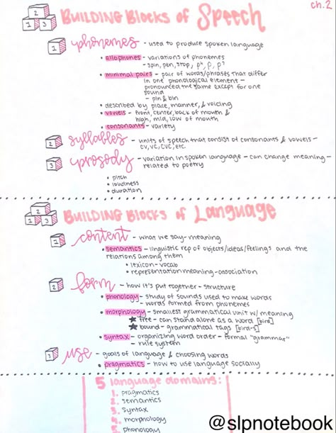 Praxis Study Elementary, Speech Pathology Anatomy, Speech Pathology Aesthetic, Speech Language Pathology Anatomy, Slp Praxis, Slp Praxis Study Guide, Speech Pathology Grad School, Slp Grad School, Speech Sound Development Chart