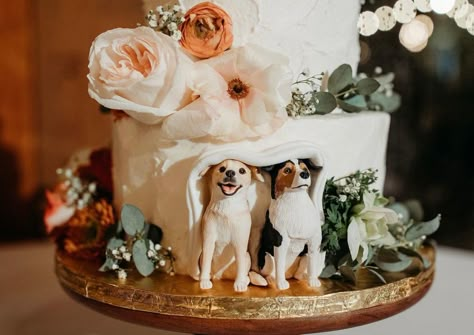 Wedding Cake Dog Eating, Wedding Cakes Dog, Simple Wedding Cakes, Wildflower Wedding Theme, Cake Dog, Colorful Wedding Cakes, Funny Wedding Cakes, Cakes Inspiration, Purple Wedding Theme