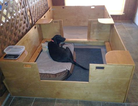 Whelping Box Ideas How To Build, Diy Whelping Box For Large Dogs, Welping Room Ideas, Diy Whelping Box For Dogs, Welping Box Ideas Diy Dog, Whelping Box Ideas, Welping Box, Dog Breeding Kennels, Dog Whelping Box