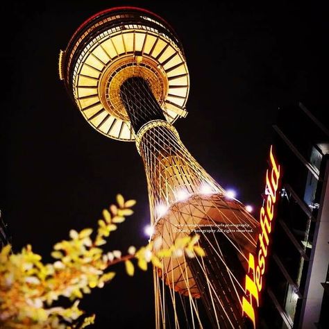 The Sydney Tower Eye Sydney Tower Eye, Sydney Tower, Interesting Places, Best Sites, Space Needle, Places To See, Sydney, The Globe, Tower