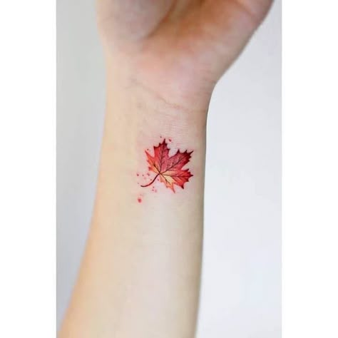 Watercolor Maple Leaf Tattoo, Canada Maple Leaf Tattoo, Minimalist Colored Tattoo, Fall Tree Tattoo, Maple Leaf Tattoo Design, Japanese Maple Leaf Tattoo, Tattoos Body Positivity, Maple Leaves Tattoo, Autumn Leaf Tattoo