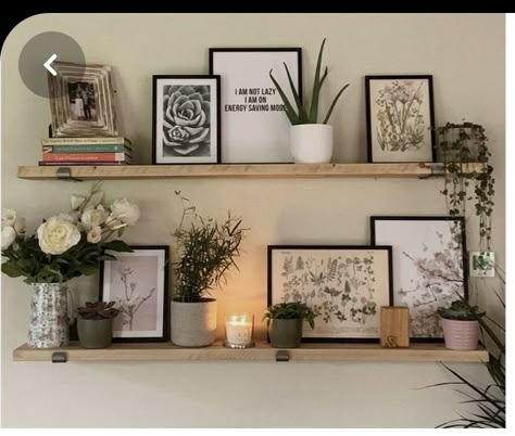 Shelves With Pictures, Shelf Decor Bedroom, Shelf Decor Living Room, Wall Shelf Decor, Studio Apt, Decor Home Living Room, New Living Room, Shelf Decor, Decoration Home