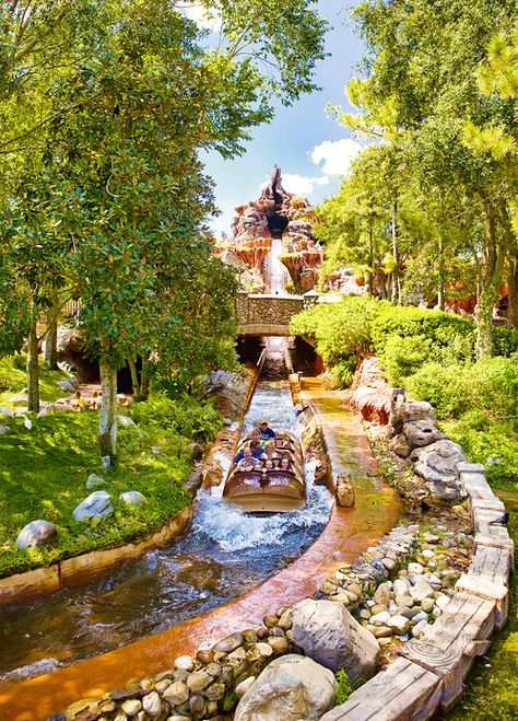 Disney Parque, Disney World Rides, Disney World Pictures, Splash Mountain, Disney World Magic Kingdom, Disney Rides, Disney Photography, Disney World Florida, Parc D'attraction