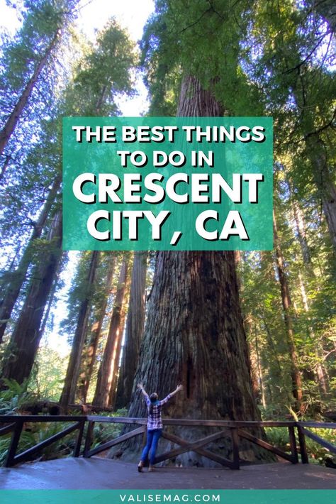 Crescent City California Things To Do In, Things To Do In Eureka California, Redwoods Camping, Redwood Vacation, Redwoods Vacation, California Lighthouses, Oregon Coast Roadtrip, Crescent City California, Red Woods