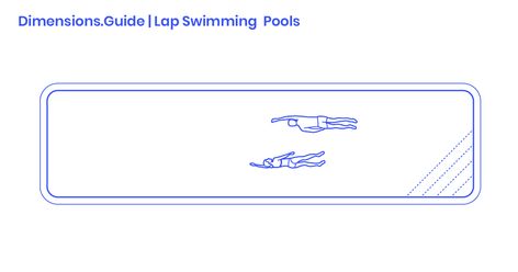 Lap Swimming Pools Dimensions & Drawings | Dimensions.Guide Swimming Pool Dimensions, Oval Swimming Pool, Rectangle Swimming Pools, Swimming Pool Plan, Swimming Pool Size, Lap Pools, Swimming Laps, Rectangular Swimming Pools, Aquatic Exercises