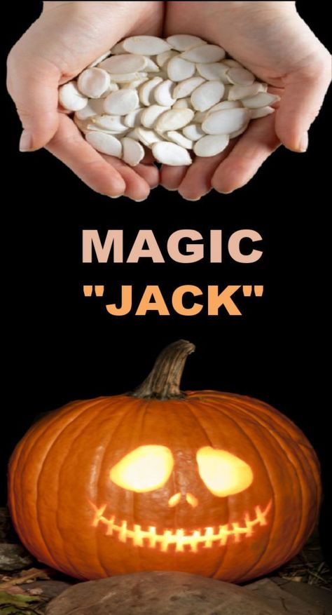 Magically grow a jack-o-lantern from a pumpkin seed! #magicjack #growajackolantern #jackolanternideas #pumpkincarvingideas #halloweenactivitiesforkids #growingajeweledrose Ghost Rockets, Halloween Experiments, Halloween Science Activities, Balloon Experiment, Fun Halloween Party Games, Pumpkin Moon, Halloween Balloon, Halloween Sensory, Halloween Science