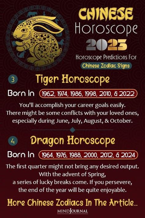 Before the Chinese New Year, find out what the ancient oriental practices have to say about your destiny in the coming year! #zodiacmeme #zodiacsecrets #zodiactraits #zodiacpersonality #astrology #horoscope #zodiacsign #sunsign #chinesezodiac #chinesehoroscope #chinesehoroscope2023 Chinese Astrology 2023, Chinese Horoscope 2023, Chinese Astrology Signs, Horoscope 2023, What Is Spirituality, Chinese Horoscope, The Year Of The Rabbit, Relationship Conflict, Financial Growth