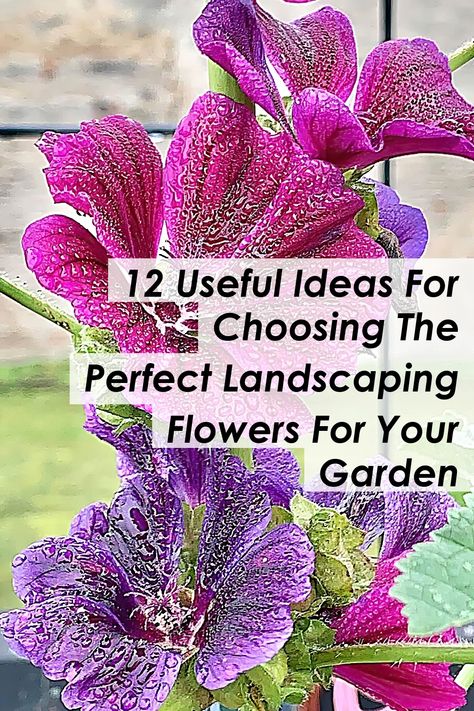 Transform your garden into a vibrant oasis with our guide on choosing the perfect landscaping flowers. Discover 12 useful ideas that will help you select the right blooms to enhance your outdoor space. From color combinations to seasonal blooms, learn how to create a stunning landscape that reflects your personal style. Whether you’re a seasoned gardener or a beginner, these tips will inspire you to elevate your garden with beautiful landscaping flowers. Charming Garden, Beautiful Landscapes, Outdoor Space, Garden Landscaping, Flowers