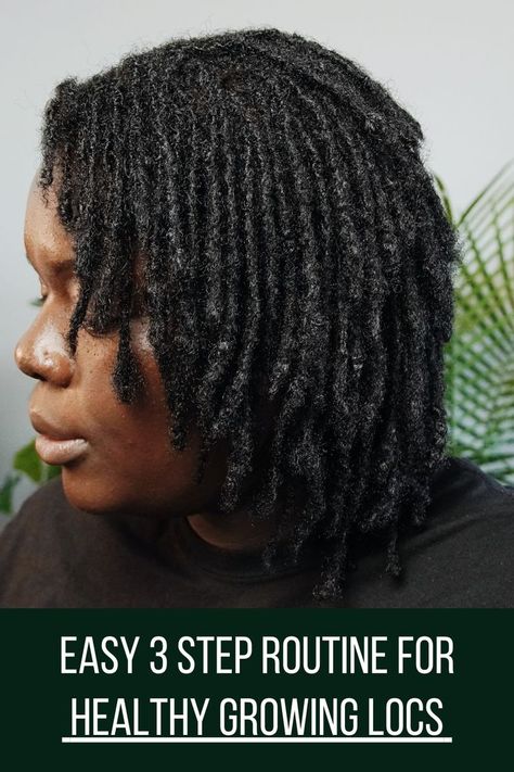 Starter Dreads, Twist Locs, Dreadlocks Hair Care, Loc Care, Easy Routine, Loc Maintenance, Diy Facials, Maintenance Routine, Twist Shirt