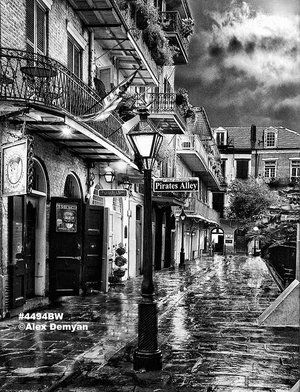 New Orleans Black and White Photography — New Orleans Photography New Orleans Black And White, New Orleans Photography, Wide Angle Photography, White Oak Tree, New Orleans Music, New Orleans Vacation, New Orleans Art, Sepia Photography, New Orleans French Quarter