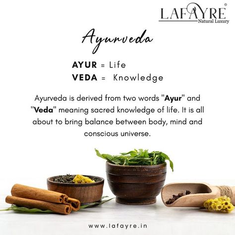 𝐀𝐘𝐔𝐑𝐕𝐄𝐃𝐀 Indian Ayurveda, Dosha Quiz, Ayurveda Life, Organic Beauty Products, Real Estate Marketing Design, Increase Hair Growth, Let's Talk About, Inner Beauty, Let's Talk